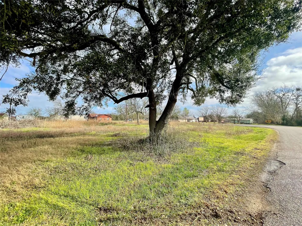 Chadwick Hogan Road Chappell Hill, TX 77426