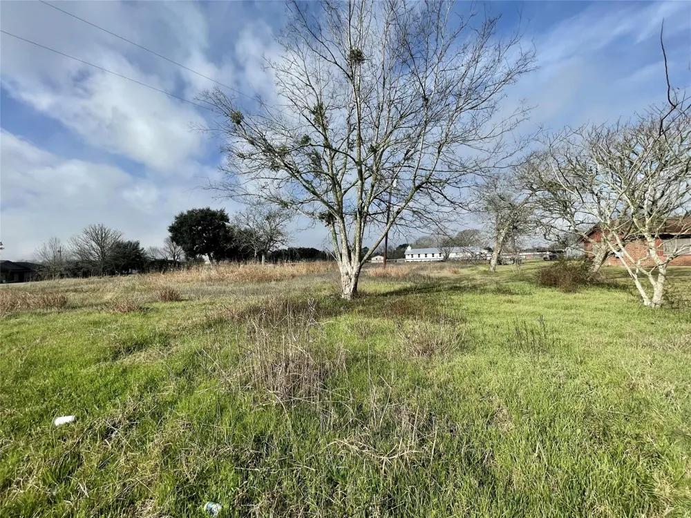 Chadwick Hogan Road Chappell Hill, TX 77426