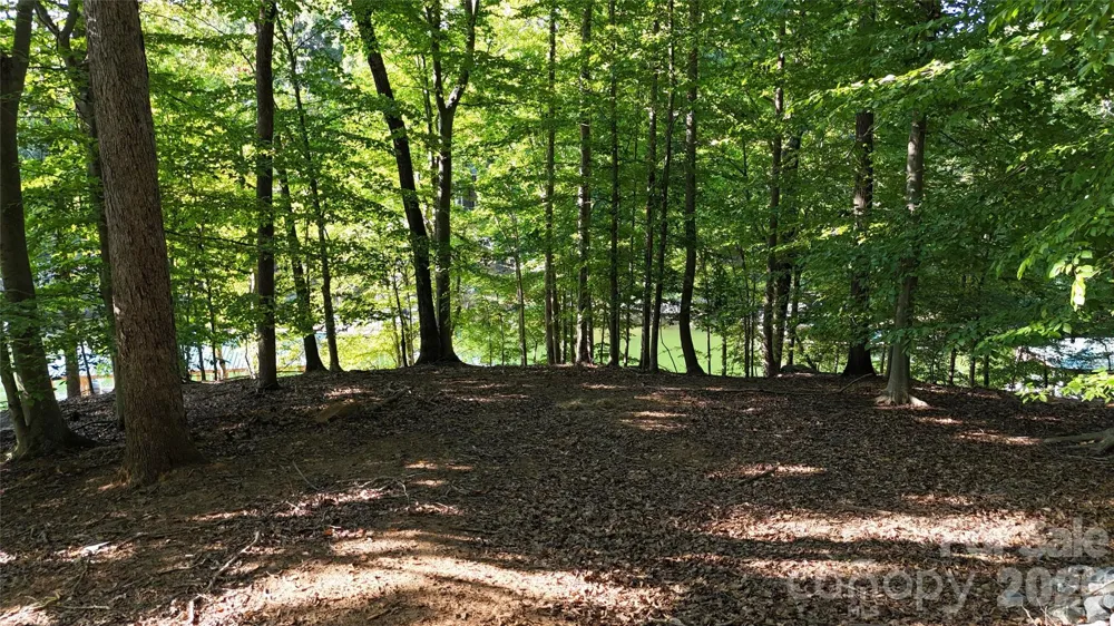 170 Windwood Lane Troutman, NC 28166