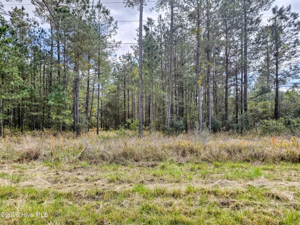 20 Sandy Point Road Scranton, NC 27875