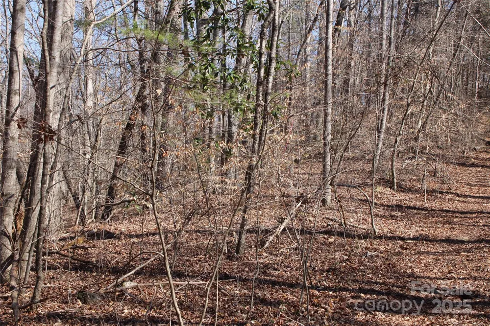 0 Rutherford Street Spindale, NC 28160