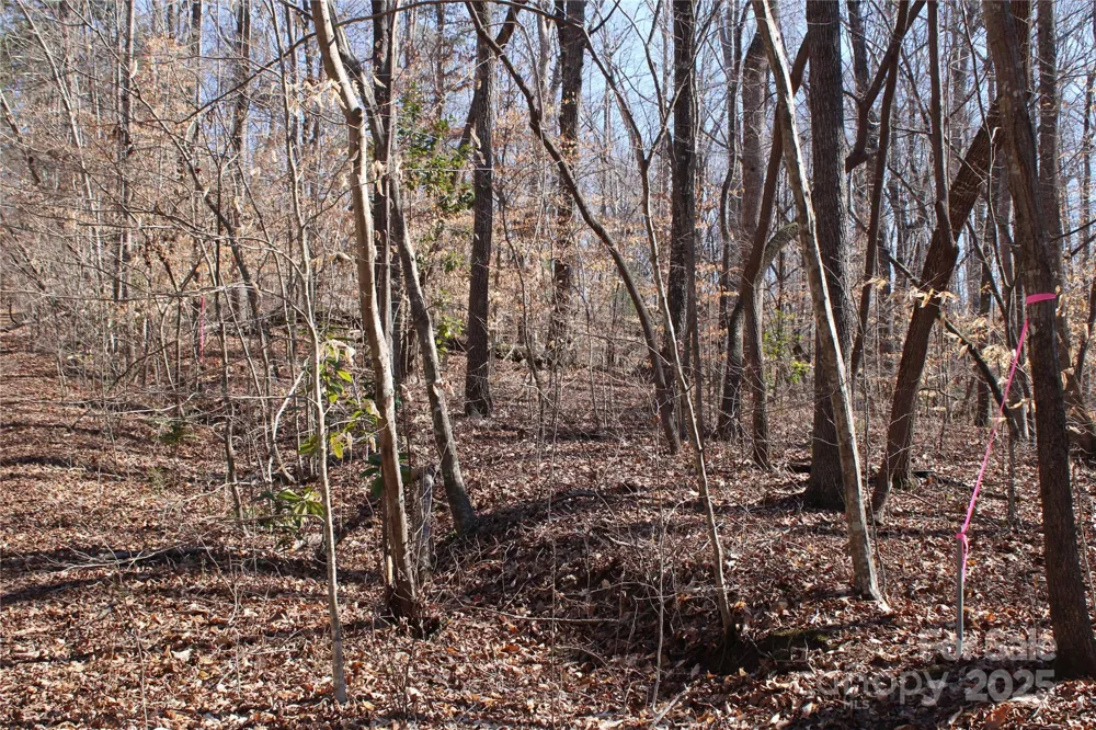 0 Rutherford Street Spindale, NC 28160