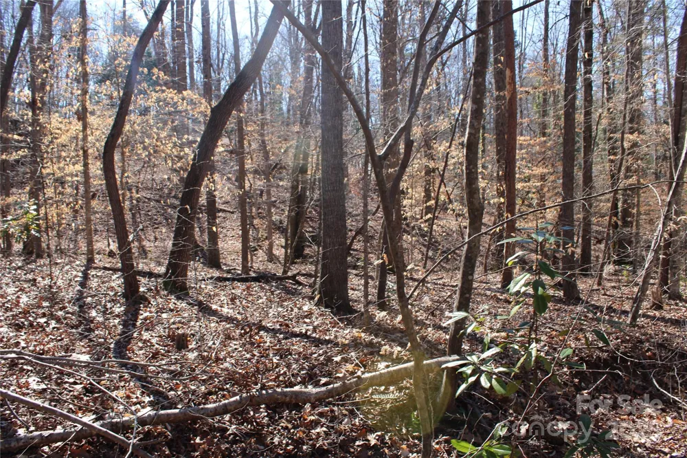0 Rutherford Street Spindale, NC 28160