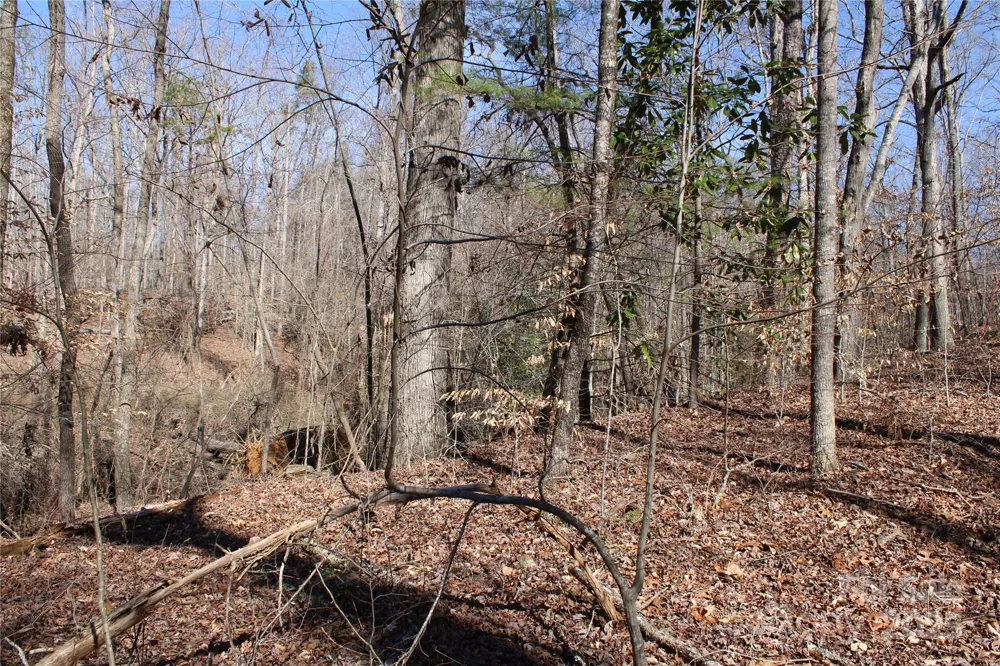 0 Rutherford Street Spindale, NC 28160