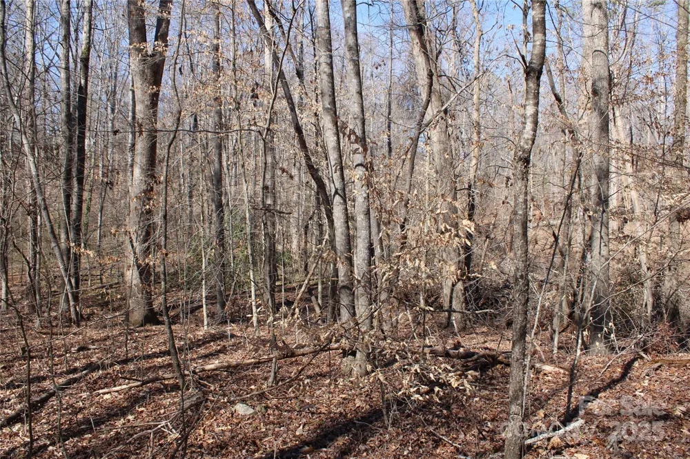 0 Rutherford Street Spindale, NC 28160