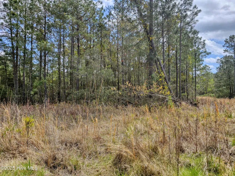 22 Sandy Point Road Scranton, NC 27875