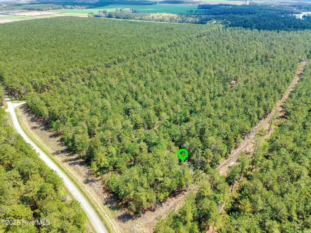 22 Sandy Point Road Scranton, NC 27875