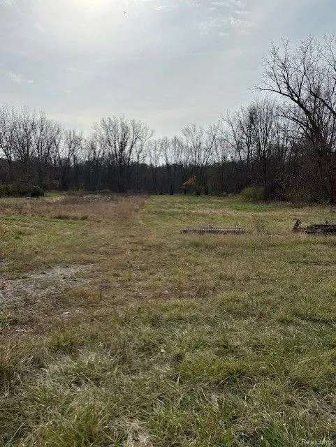 8438 JORDAN ROAD Atlas Township, MI 48439