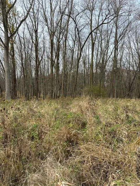 8438 JORDAN ROAD Atlas Township, MI 48439