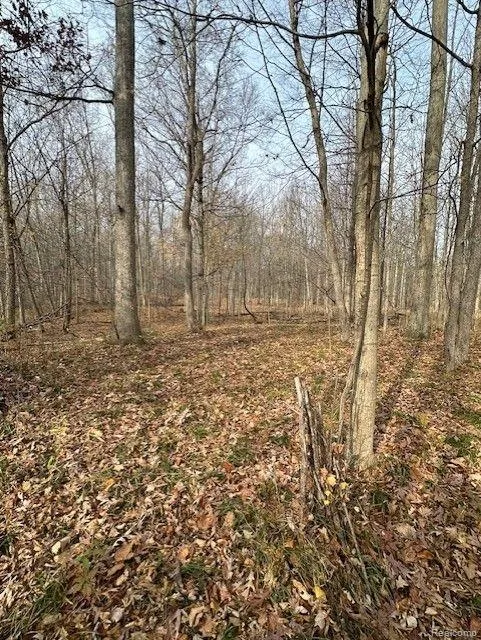 8438 JORDAN ROAD Atlas Township, MI 48439