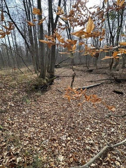 8438 JORDAN ROAD Atlas Township, MI 48439