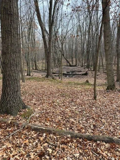 8438 JORDAN ROAD Atlas Township, MI 48439