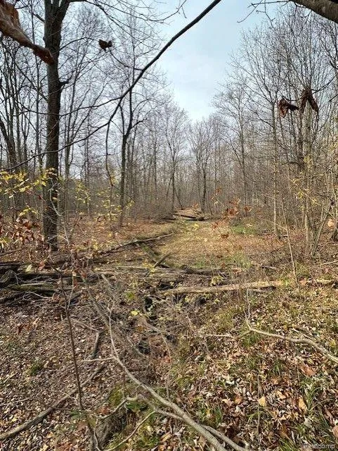 8438 JORDAN ROAD Atlas Township, MI 48439