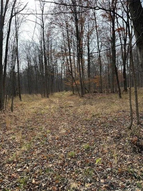 8438 JORDAN ROAD Atlas Township, MI 48439