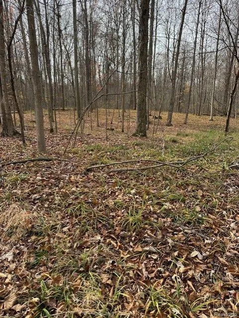 8438 JORDAN ROAD Atlas Township, MI 48439
