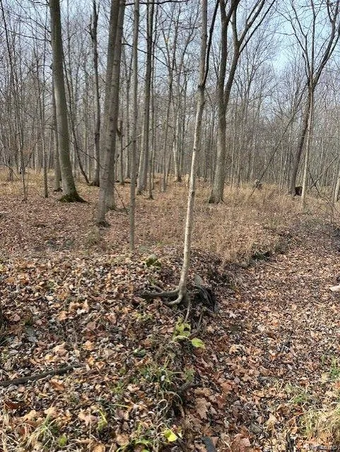 8438 JORDAN ROAD Atlas Township, MI 48439