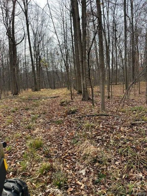 8438 JORDAN ROAD Atlas Township, MI 48439