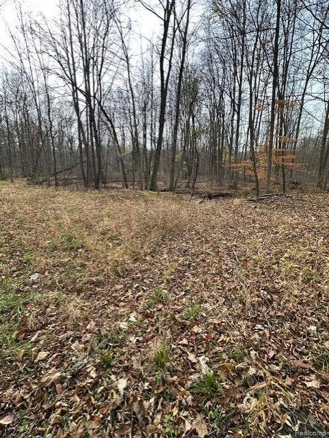 8438 JORDAN ROAD Atlas Township, MI 48439