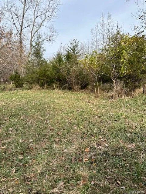 8438 JORDAN ROAD Atlas Township, MI 48439