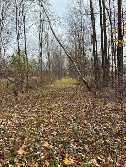 8438 JORDAN ROAD Atlas Township, MI 48439