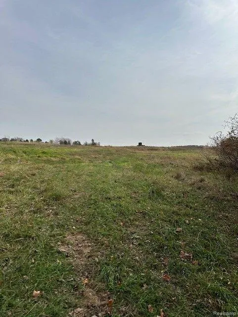 8438 JORDAN ROAD Atlas Township, MI 48439