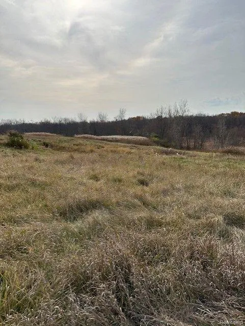 8438 JORDAN ROAD Atlas Township, MI 48439