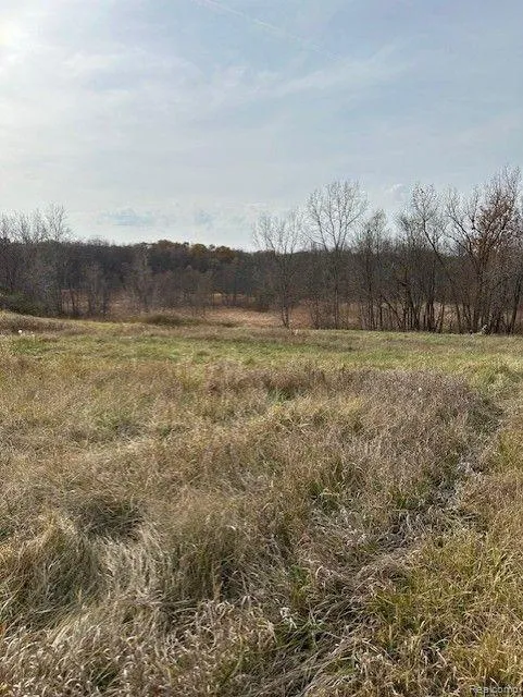 8438 JORDAN ROAD Atlas Township, MI 48439