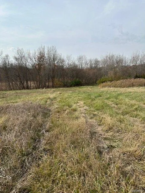 8438 JORDAN ROAD Atlas Township, MI 48439