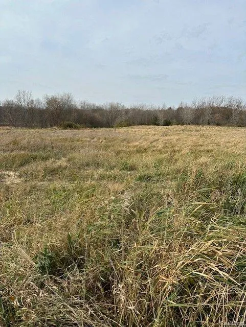 8438 JORDAN ROAD Atlas Township, MI 48439
