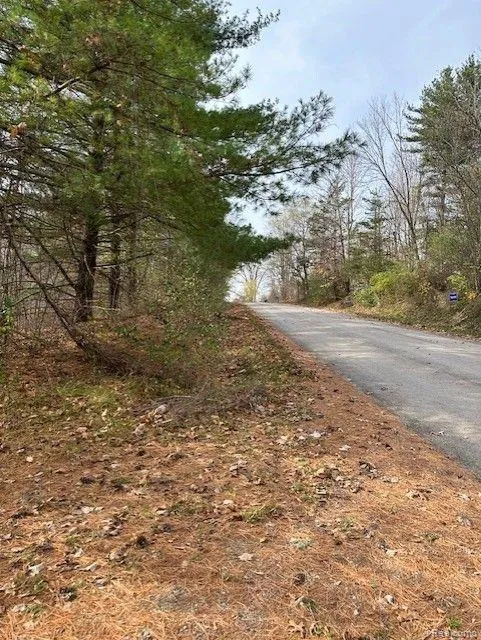 8438 JORDAN ROAD Atlas Township, MI 48439