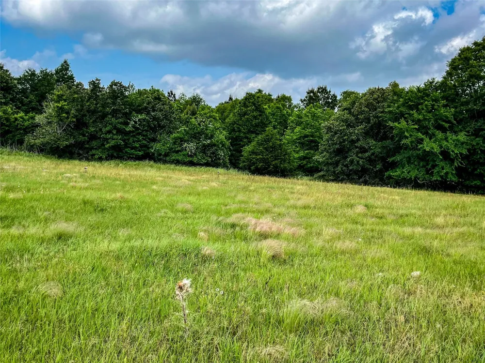 5 Highway 19 Trinity, TX 75862