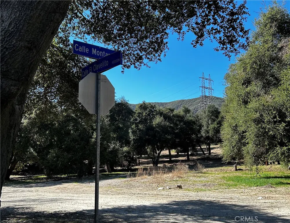 Calle El Clavelito/3227016011 Green Valley, CA 91390