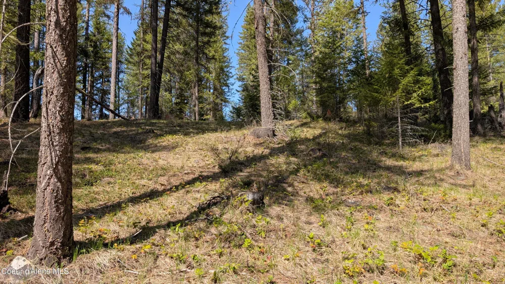 53396 Highway 95 Bonners Ferry, ID 83805