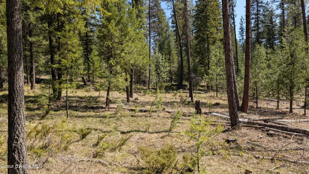 53396 Highway 95 Bonners Ferry, ID 83805