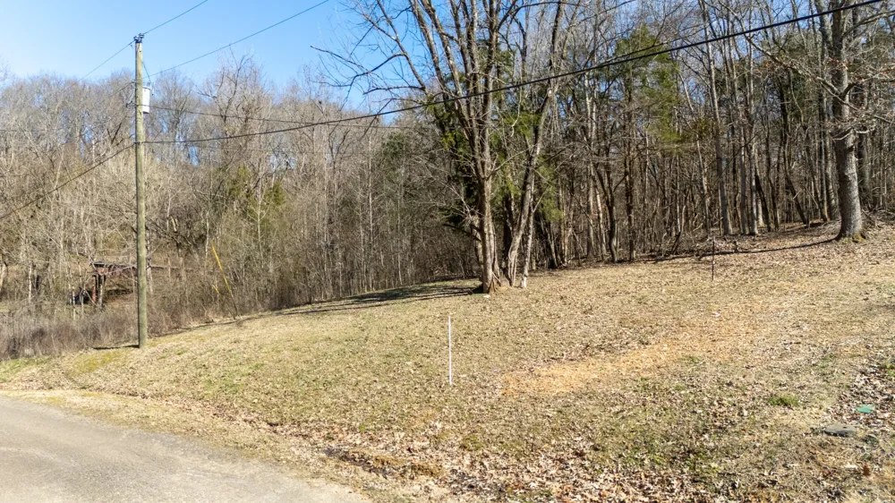 0 Salt Ln Savannah, TN 38372