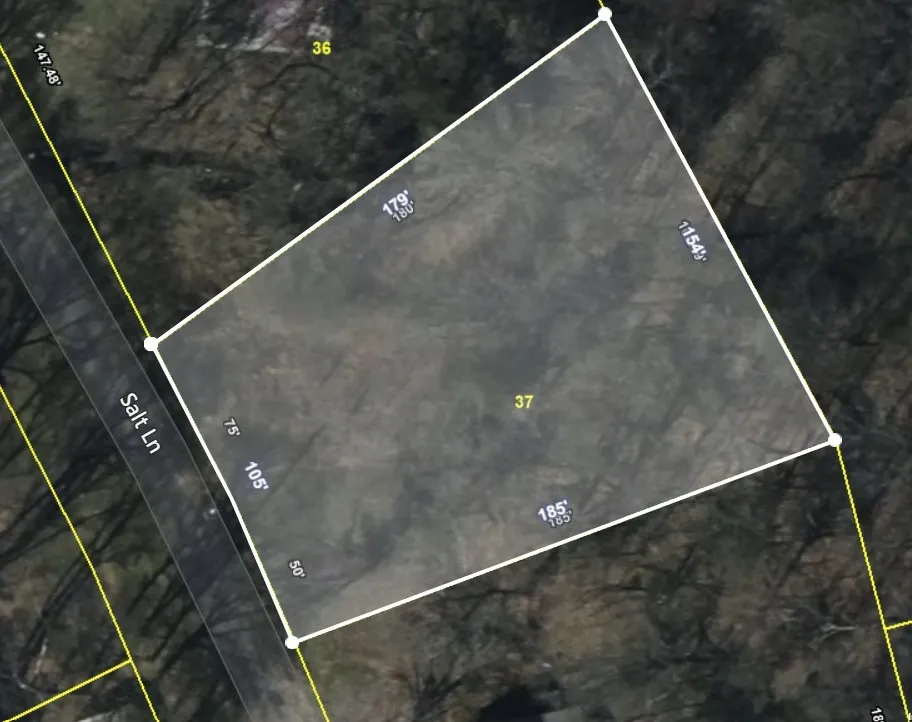0 Salt Ln Savannah, TN 38372