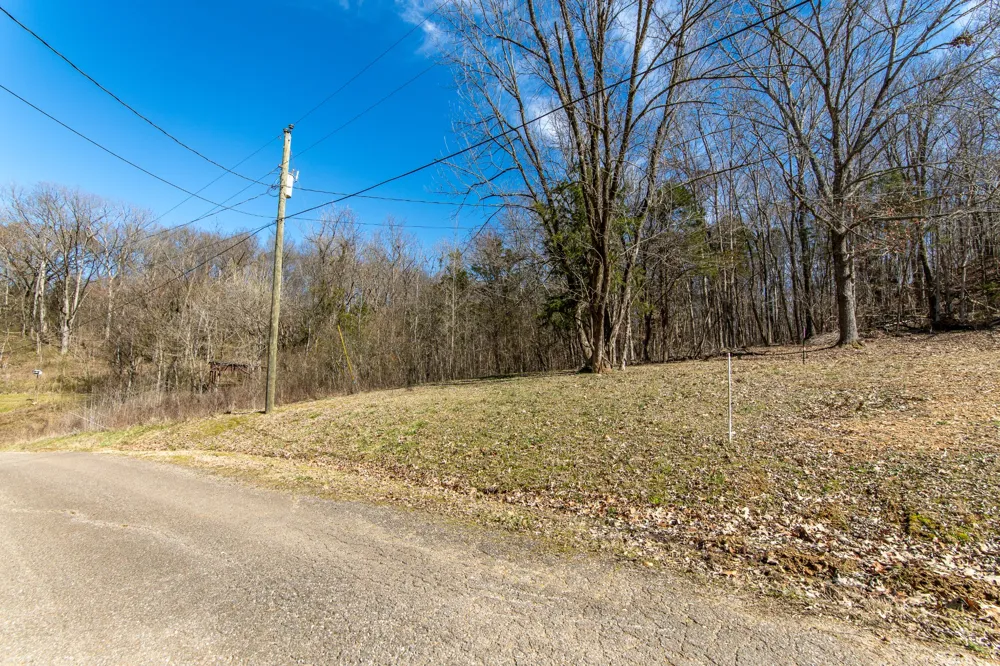 0 Salt Ln Savannah, TN 38372