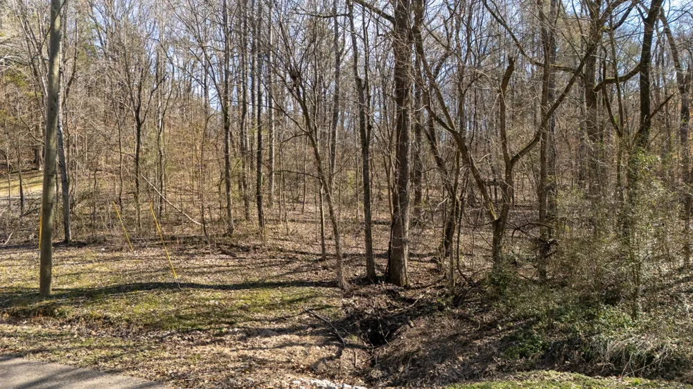 0 Salt Ln Savannah, TN 38372
