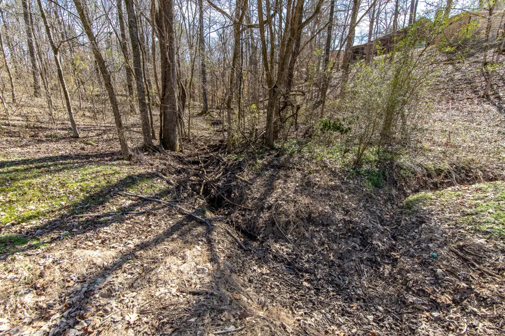 0 Salt Ln Savannah, TN 38372