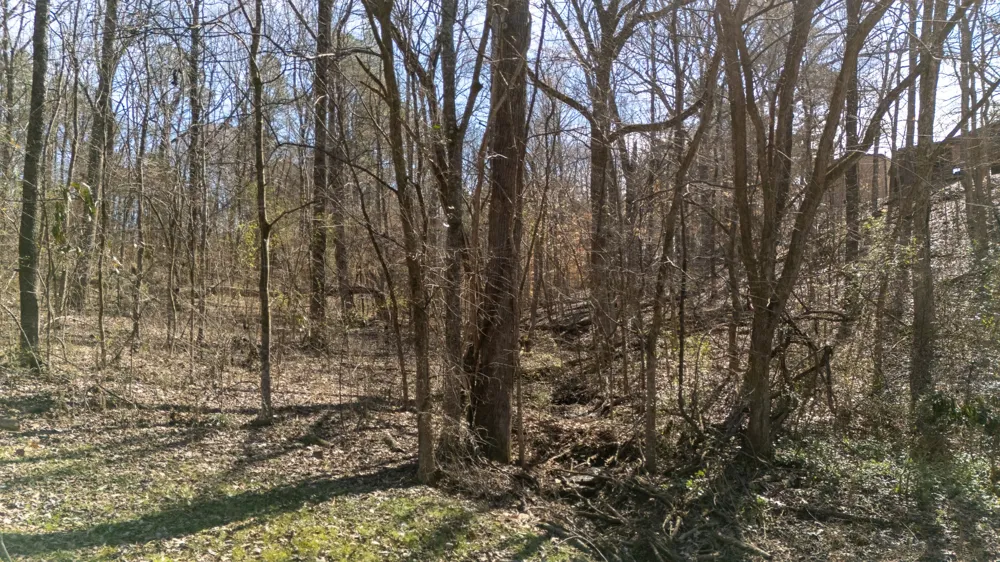 0 Salt Ln Savannah, TN 38372