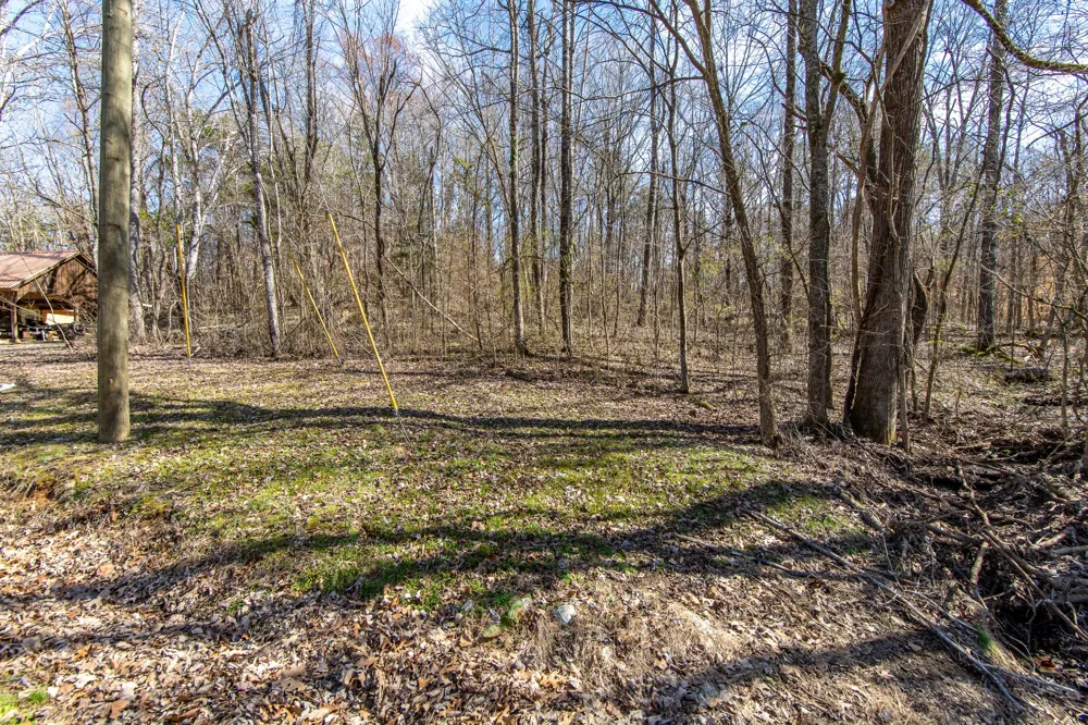 0 Salt Ln Savannah, TN 38372