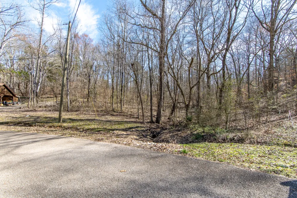 0 Salt Ln Savannah, TN 38372