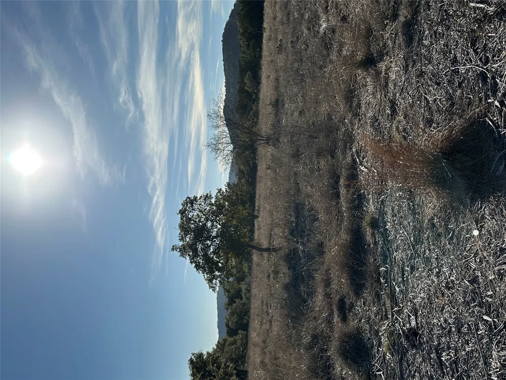 1819 County Road 350 Concan, TX 78838
