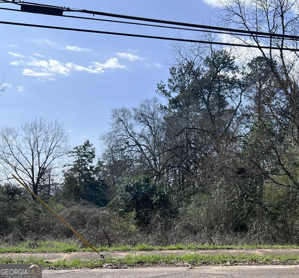 0 Broad DR Richland, GA 31825