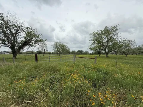 Orchard Drive