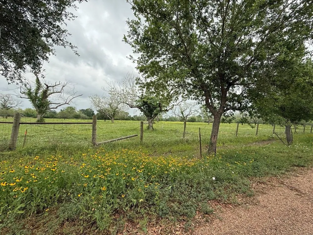 Orchard Drive Wharton, TX 77488