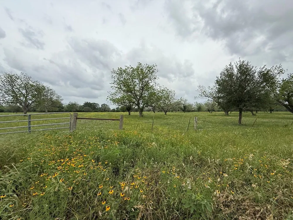 Orchard Drive Wharton, TX 77488