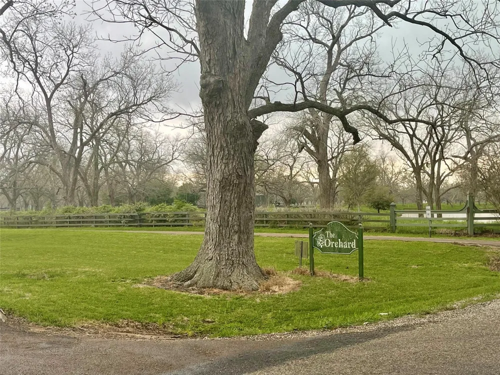 Orchard Drive Wharton, TX 77488
