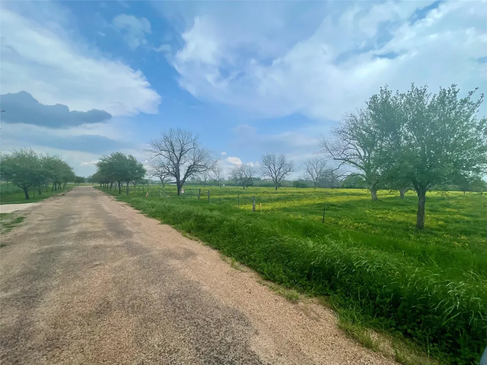 Orchard Drive Wharton, TX 77488