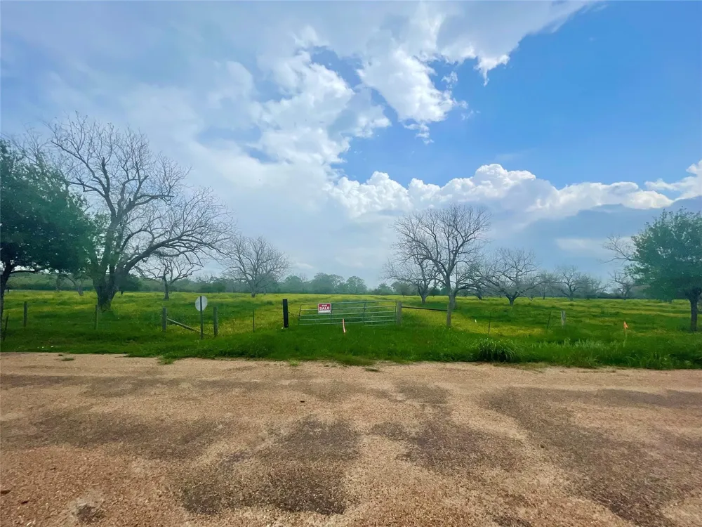 Orchard Drive Wharton, TX 77488